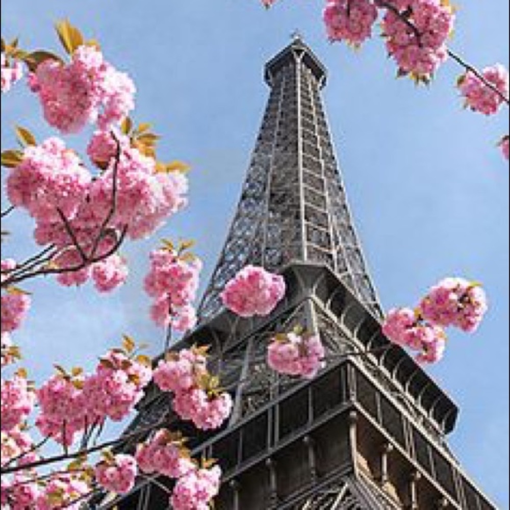 Meet your Posher, Maria